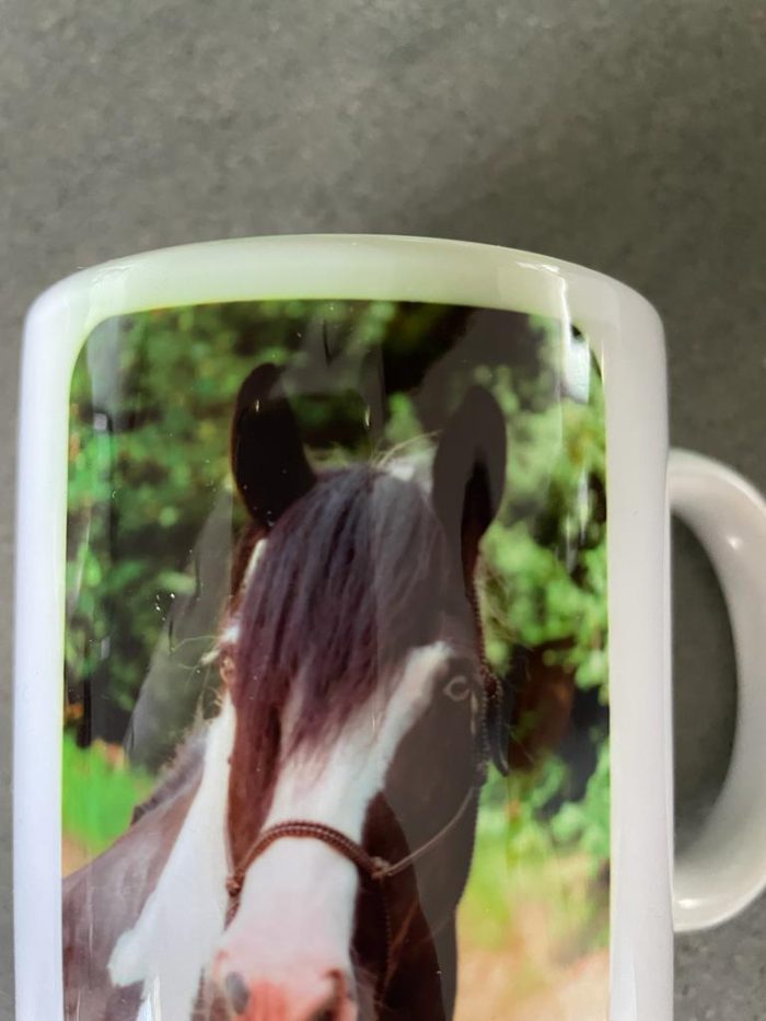 Beker met favoriete paard of pony (voordelige optie) - Afbeelding 4