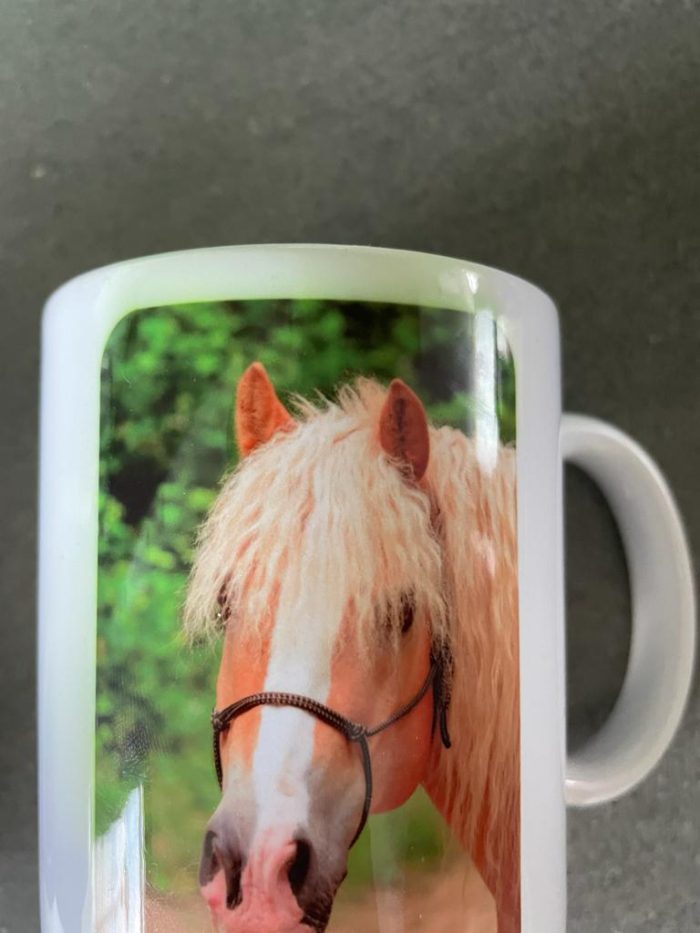 Beker met favoriete paard of pony (voordelige optie) - Afbeelding 3